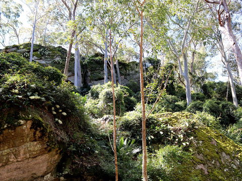 Haunted Point Loop Walk - Accommodation Bookings 0