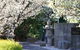 Japanese And Australian War Cemeteries - thumb 0