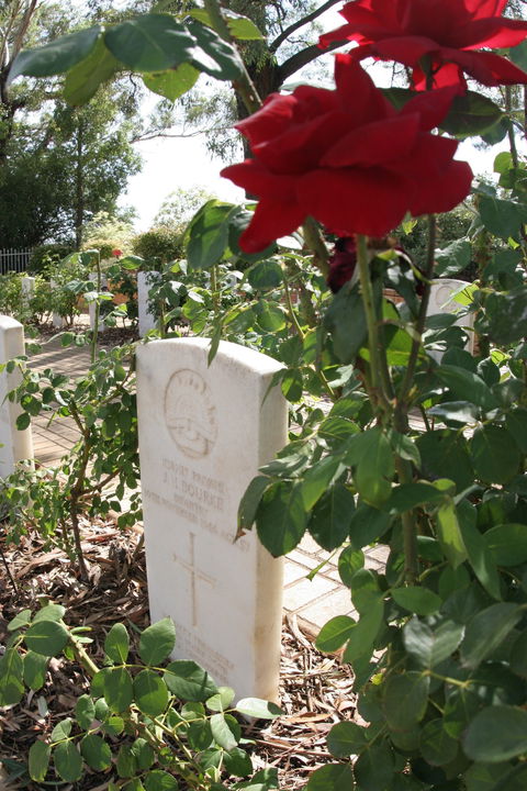 Japanese And Australian War Cemeteries - Accommodation Bookings 1