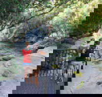Josephine Falls walking track Wooroonooran National Park - Accommodation Bookings