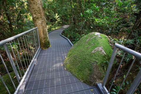 Josephine Falls Walking Track, Wooroonooran National Park - Accommodation Bookings 2