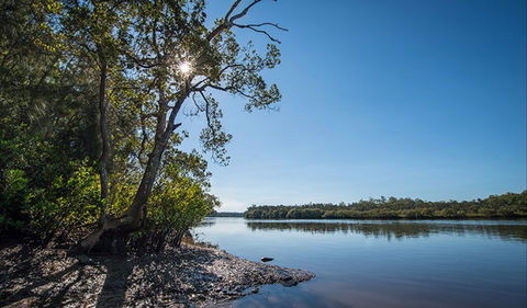 Karuah River National Park And Nature Reserve - Accommodation Bookings 0