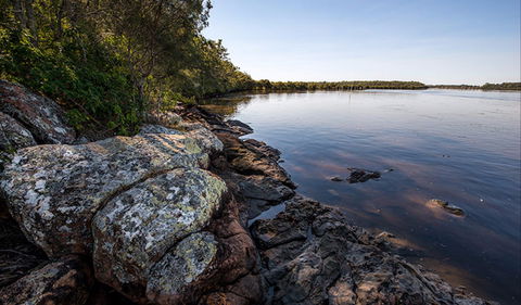 Karuah River National Park And Nature Reserve - Accommodation Bookings 2