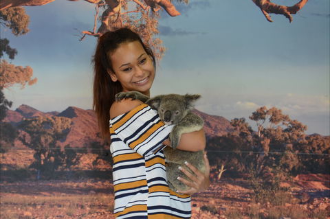 Kuranda Koala Gardens - Accommodation Bookings 0