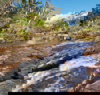Little Dandahra Creek Walking Track - Accommodation Bookings