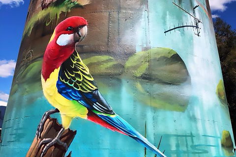 Lockhart Water Tower Mural - Accommodation Bookings 1