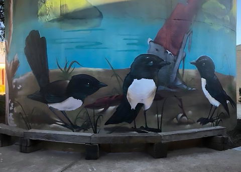 Lockhart Water Tower Mural - Accommodation Bookings 2