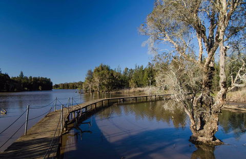 Longneck Lagoon Walking Track - Accommodation Bookings 0