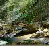 Maleny - Accommodation Bookings