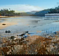 Merrica River Nature Trail - Accommodation Bookings