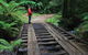 Montezuma Falls - thumb 0