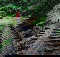 Montezuma Falls - Accommodation Bookings