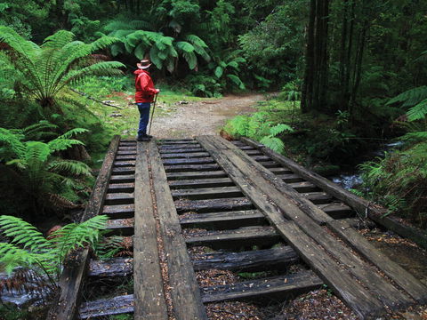 Montezuma Falls - Accommodation Bookings 0