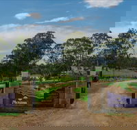 Moorebank Vineyard - Accommodation Bookings