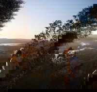 Mount Arthur Reserve - Accommodation Bookings