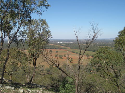 Mount Tilga - Accommodation Bookings 0