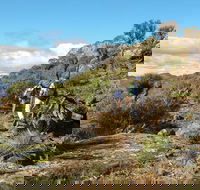 Mount Exmouth walking track - Accommodation Bookings