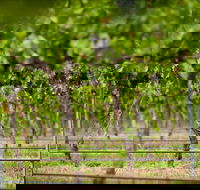Murrumbateman - Accommodation Bookings