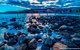 Myponga Beach - thumb 0