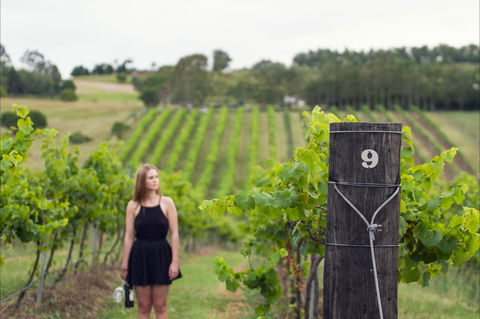 Naturally Luxurious - Great Beach Drive - Accommodation Bookings 0