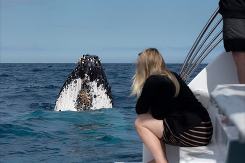 Naturally Luxurious - Great Beach Drive - Accommodation Bookings 2