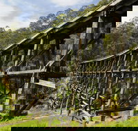 Noojee Trestle Bridge - Accommodation Bookings