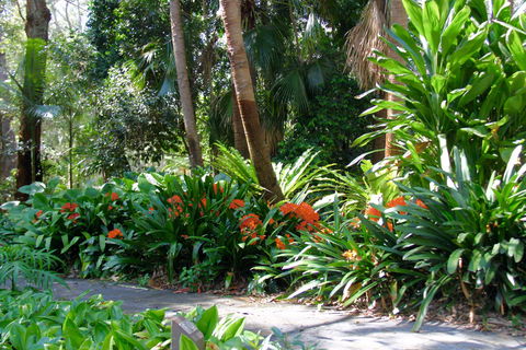North Coast Regional Botanic Garden - Accommodation Bookings 1