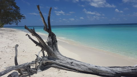 North West Island - Accommodation Bookings 0