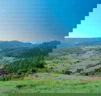 Numinbah Section Springbrook National Park - Accommodation Bookings