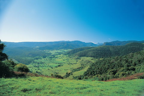Numinbah Section, Springbrook National Park - Accommodation Bookings 0