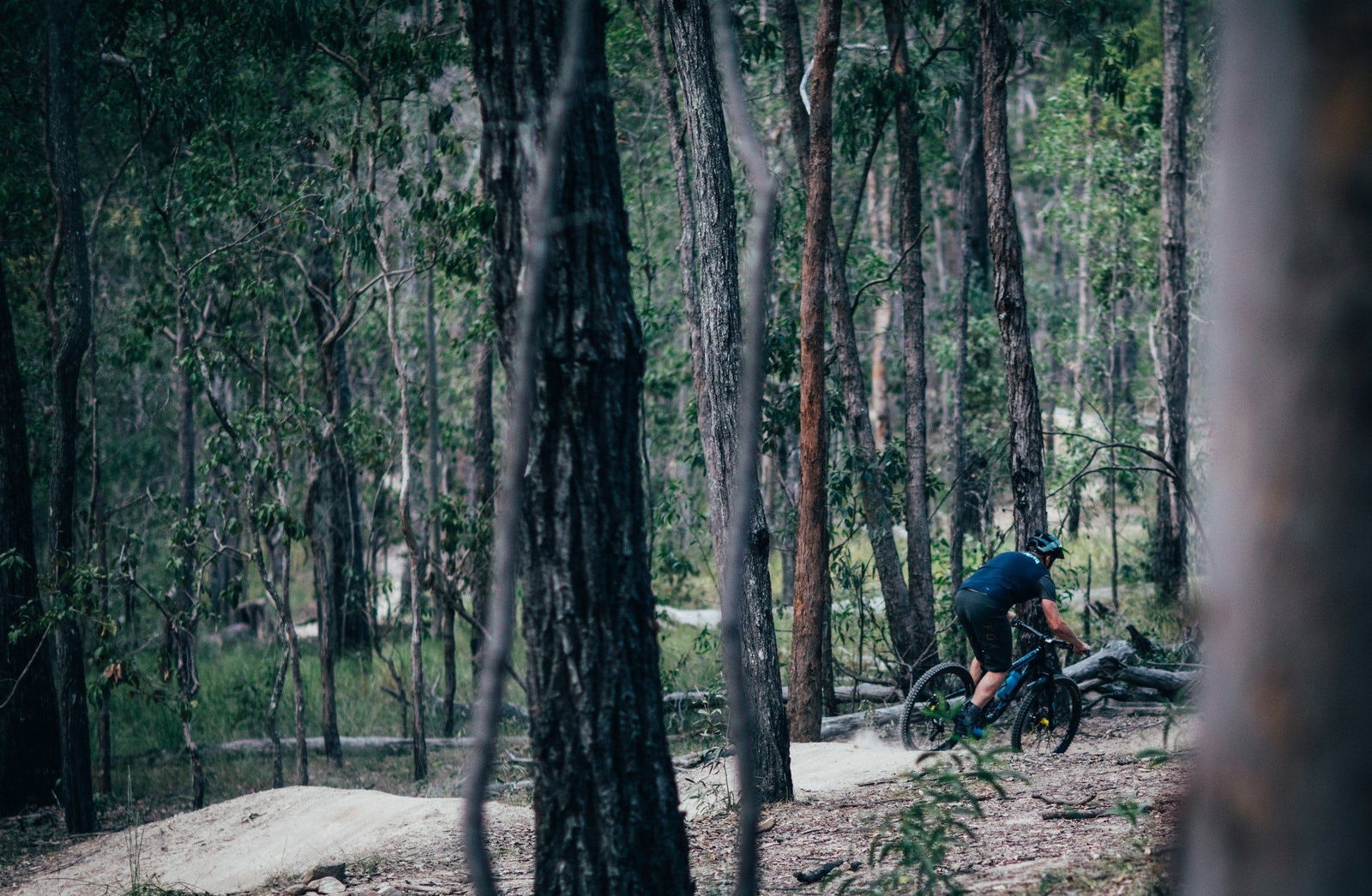 Wongawallan QLD Accommodation Bookings