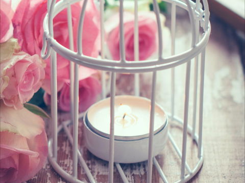 Passionfish Candles - Accommodation Bookings 1