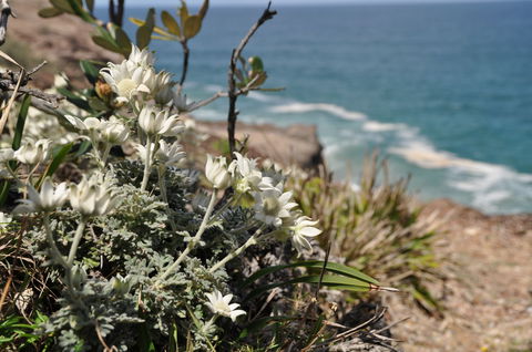 Perpendicular Point - Accommodation Bookings 1
