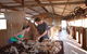 Peron Homestead - thumb 0