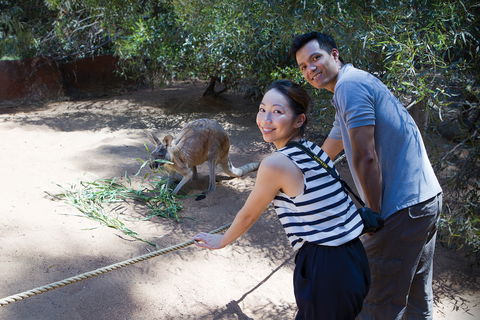 Perth Zoo - Accommodation Bookings 2
