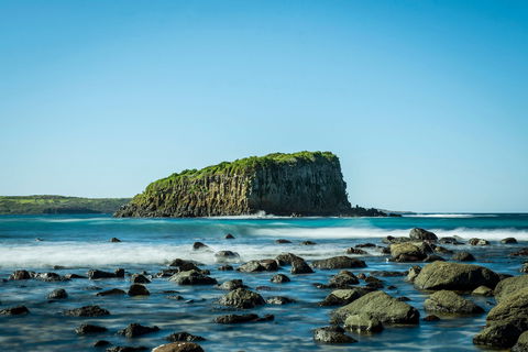 Rangoon Island, Minnamurra - Accommodation Bookings 0