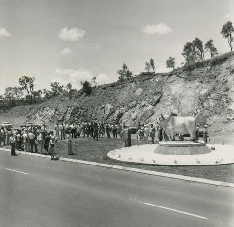Rockhampton Bull Statues - Accommodation Bookings 0