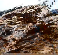 Rock Climbing in Morialta - Accommodation Bookings