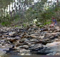 Rocksberg Park Heritage Reserve - Accommodation Bookings