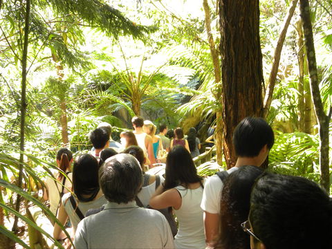 Tamborine Mountain Glow Worm Tours - Accommodation Bookings 1