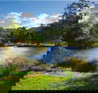 Tasmanian Arboretum Inc. - The