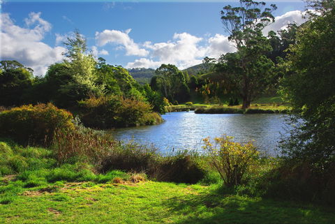 Tasmanian Arboretum Inc. - The - Accommodation Bookings 0