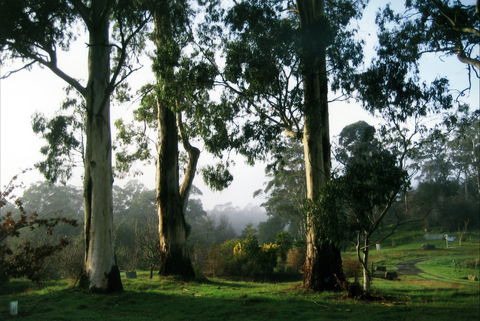 Tasmanian Arboretum Inc. - The - Accommodation Bookings 1