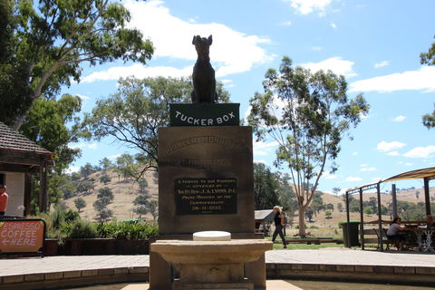 The Dog On The Tucker Box - Accommodation Bookings 2