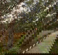 The Briars Park Walking Trails - Accommodation Bookings