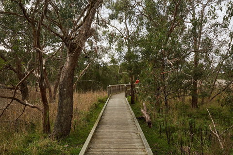 The Briars Park Walking Trails - Accommodation Bookings 0