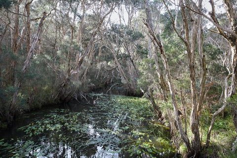 The Briars Park Walking Trails - Accommodation Bookings 2