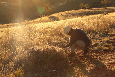 Tnorala (Gosse Bluff) Conservation Reserve - Accommodation Bookings 1