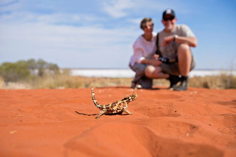 Tnorala (Gosse Bluff) Conservation Reserve - Accommodation Bookings 2