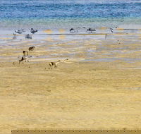 Towra Beach - Accommodation Bookings